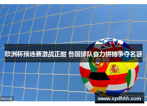 欧洲杯预选赛激战正酣 各国球队奋力拼搏争夺名额