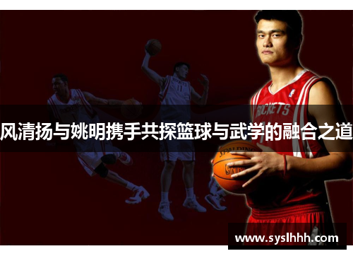 风清扬与姚明携手共探篮球与武学的融合之道