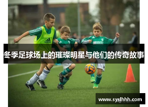 冬季足球场上的璀璨明星与他们的传奇故事