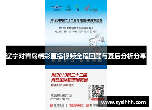 辽宁对青岛精彩直播视频全程回顾与赛后分析分享